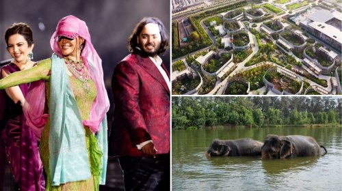 Anant, the son of Asia’s richest man Mukesh Ambani, has built a personal zoo that is spread across an area four times the size of New York’s famous Central Park. Not for captivity but it is a sanctuary for thousands of rescued animals that are cared for in state of the art facilities.