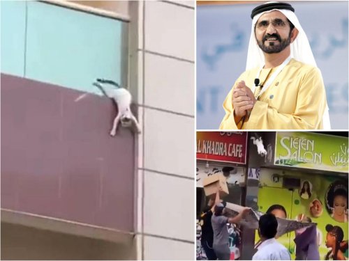 Only in Dubai – The ruler of the Emirate awarded $13,000 each to four men who saved a pregnant cat as she fell from a second-story balcony.