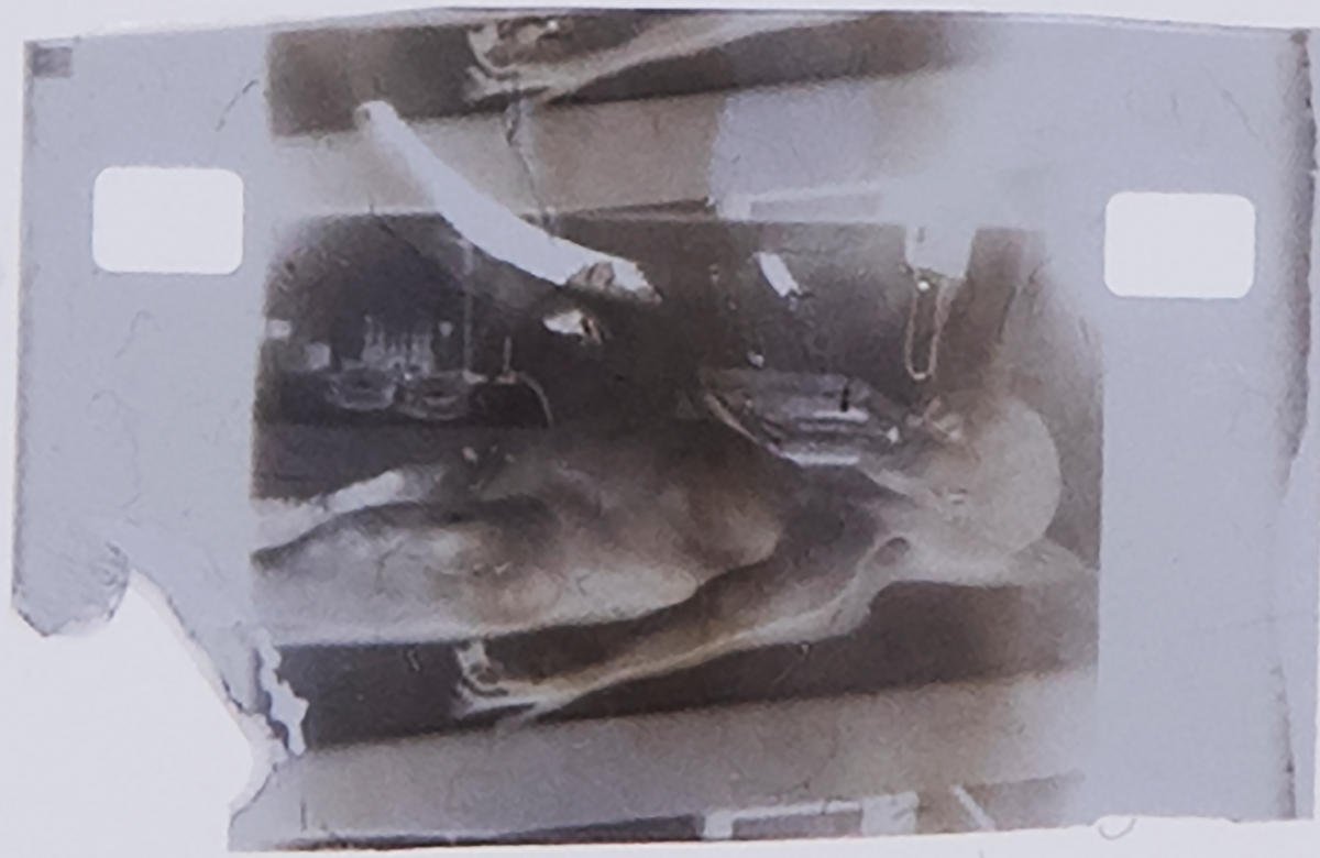 A single frame of the controversial 1947 Alien autopsy film that was recorded following the UFO crash in Roswell is being auctioned as an NFT with an opening bid of $1 million