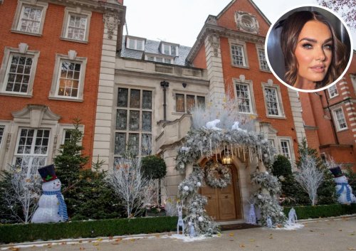 Billionaire F1 heiress Tamara Ecclestone cannot claim a single cent from the $31 million worth of stolen jewelry and watches because she failed to read the fine print of her home-insurance policy
