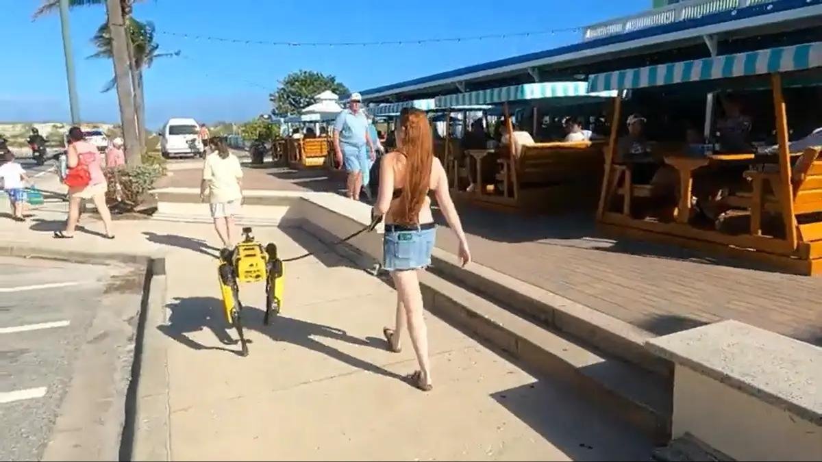 Hundreds on a Florida beach watched with amazement as a woman casually walked her $75,000 robot dog on a leash