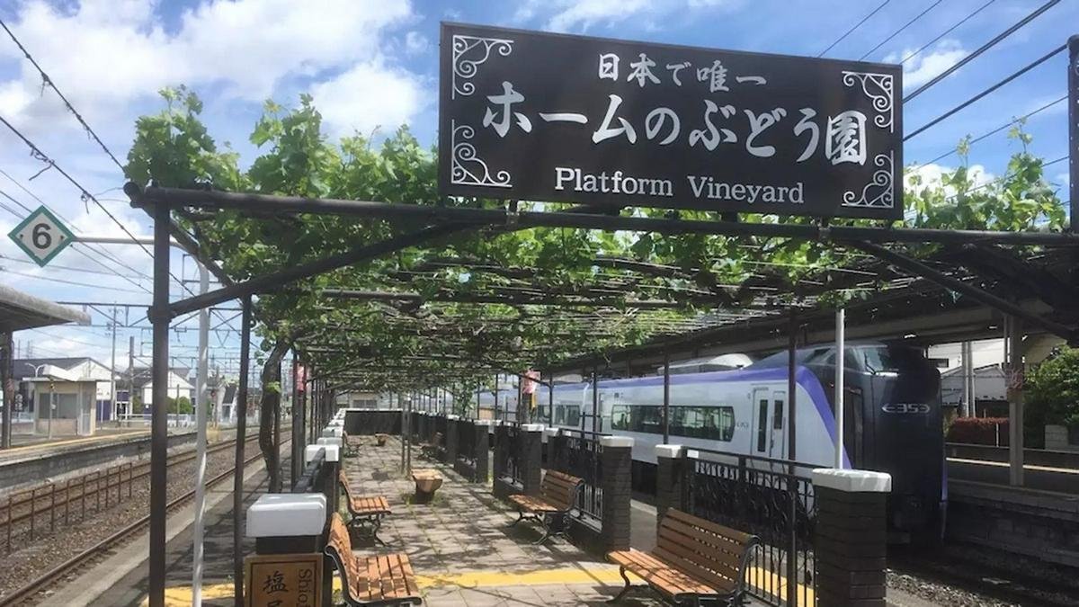 This picturesque train station in Japan is all set to release its first wine made from the vines grown on its platform - Luxurylaunches