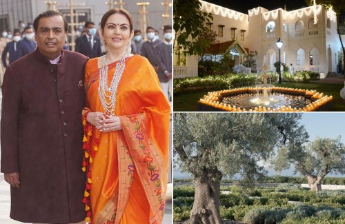 Asia’s richest man, Mukesh Ambani, is so superstitious that he spent $120,000 to import two olive trees from Spain to his ancestral home in India. Rumored to bring good luck, the 100-year-old trees made the 1,800 km long journey in special trucks that drove at 30 km/hr.