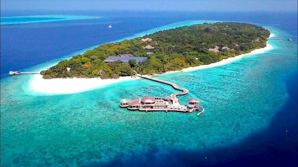 Dream job comes true: Soneva Fushi, a stunning luxury eco-resort in the Maldives is looking for a ‘Barefoot Bookseller’ to run their island bookshop for 6 months