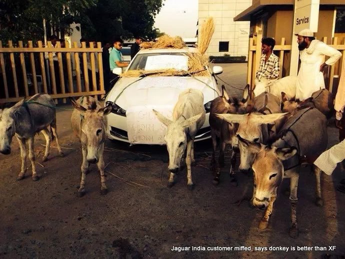 In protest of bad service a Jaguar XF owner in India gets donkeys to pull his car to the dealership - Luxurylaunches