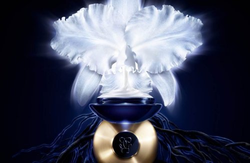 Guerlain’s fifth-generation Orchidée Impériale is a skin elixir that combines the rarest orchid’s benefits into a high-end beauty cream
