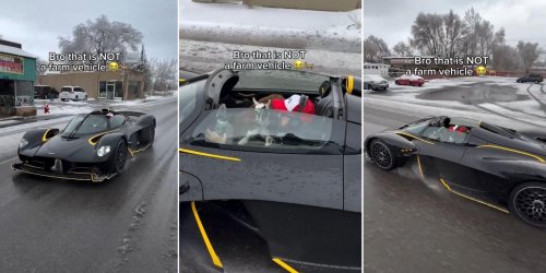 This Utah influencer, who was the first on the continent to take delivery of the Aston Martin Valkyrie Spider, has now become the first (and probably only) hypercar owner to give a couple of goats a joyride in the $3 million hypercar
