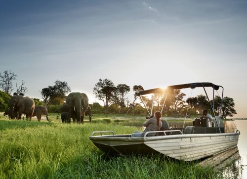 Embark on a luxury safari with a tailor-made Africa itinerary