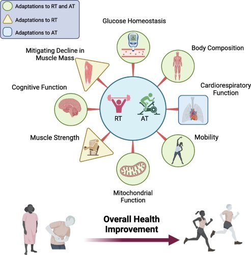The Health Benefits of Resistance Exercise: Beyond... : Exercise, Sport, and Movement