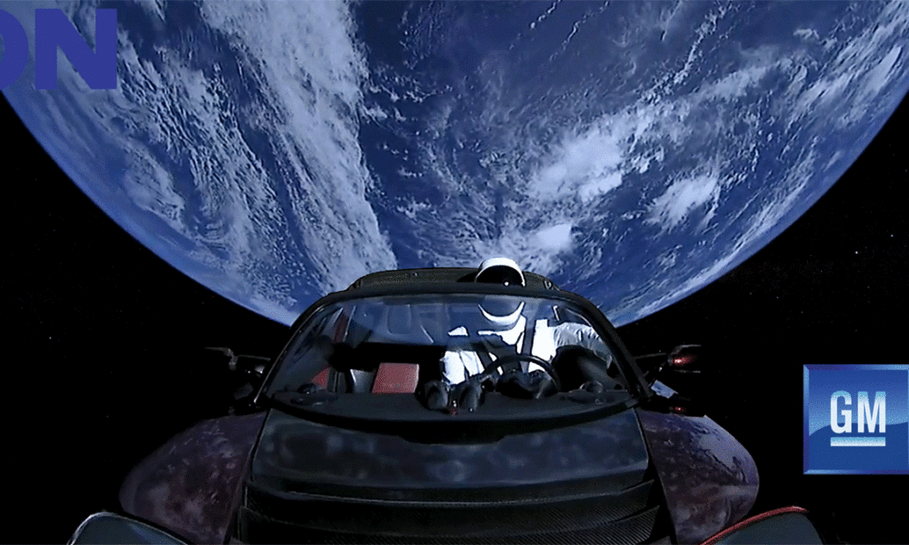 Elon Musk and Tesla vs. the World
