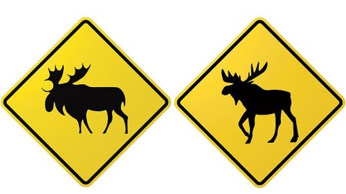 The TikTok star behind Canada's new—and less floppy—moose crossing sign