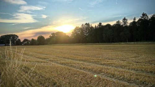 iPhone-Fotos korrigieren: Was sind das für blaue Punkte in Fotos und Videos?
