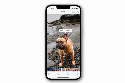 iOS 16: How to instantly lift the subject from any image