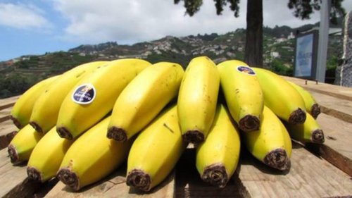 ABAMA regrets “total ignorance” of the amount paid to banana producers
