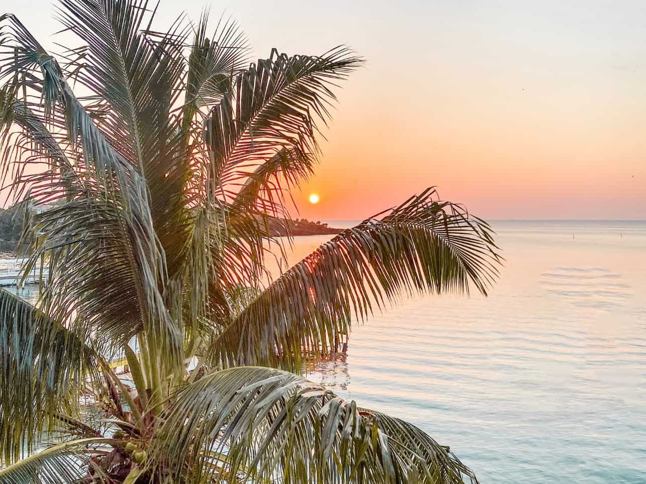 How to Get to Roatan Honduras by Air, Land & Sea - Madison's Footsteps