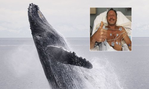 Mann wird von Wal verschluckt - dann wird's komplett verrückt!