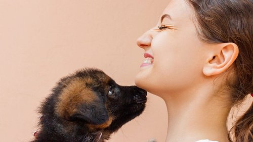 Netz-Aufreger: Frau stillt Hundewelpen