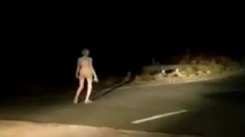 VIDEO: Unheimliche Kreatur schleppt sich über Landstraße!