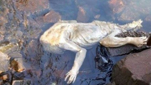 Chupacabra in Paraguay angeschwemmt – Bewohner in Angst