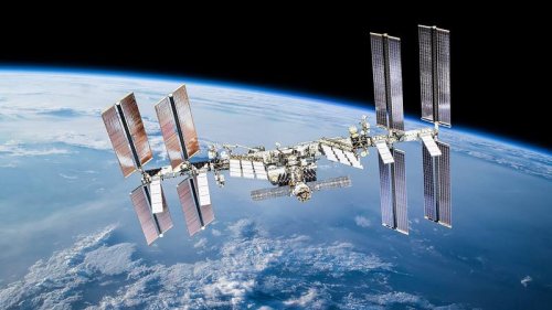 Astronauten nicht allein: Mysteriöse Lebensform auf der ISS entdeckt