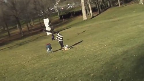 VIDEO: Adler greift Kind im Park an - und fliegt mit ihm davon