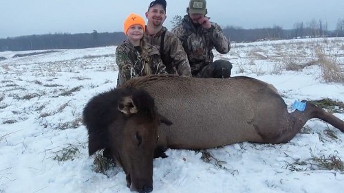 Unfassbar! 8-Jährige erschießt Elch - und wird von ihrem Vater dafür gefeiert!