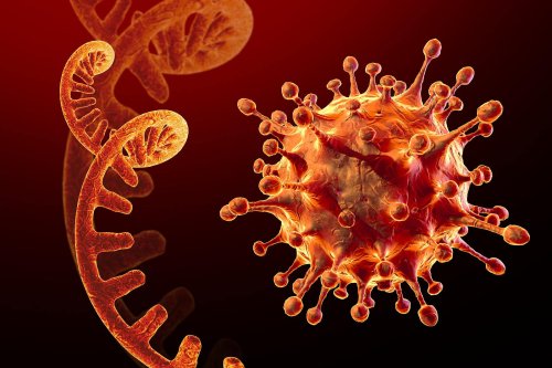 Corona: Neue Horror-Mutation ist dreimal ansteckender