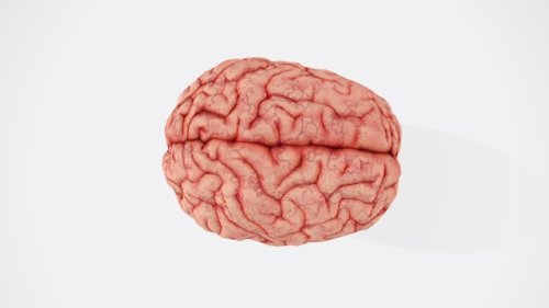 Identity Interrupted: Do Brain Implants Change Who We Are?