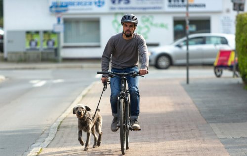 Mit Hund und Fahrrad unterwegs