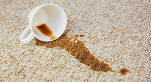 Dites adieu aux taches de café sur votre tapis ou votre canapé grâce à nos astuces infaillibles !
