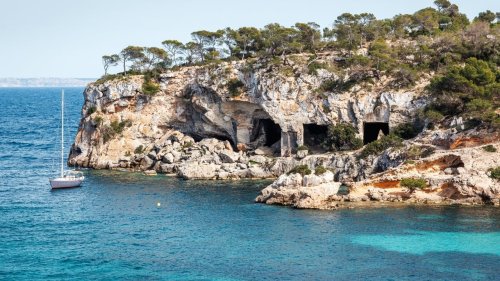 Cafards géants en masse sur cette île touristique à deux heures de Paris : les vacanciers pris de court