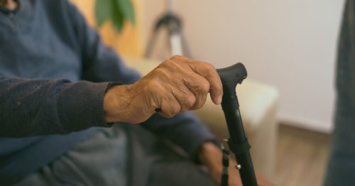 Dans ce pays, on peut louer des "seniors" pour 6 € de l'heure afin de bénéficier de leur "sagesse"