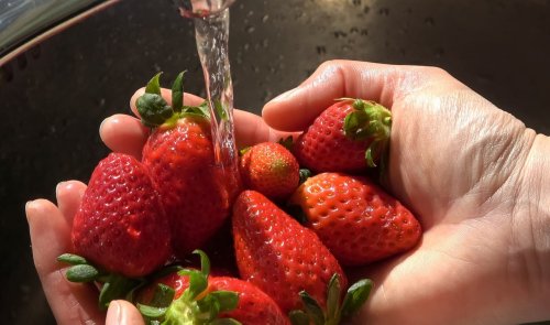 Cette technique japonaise élimine vraiment les pesticides (jusqu'à 80 %) sur vos fraises, et elle est toute simple