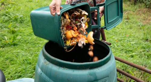 Compost obligatoire : voici le montant de l’amende pour non-respect de cette règle