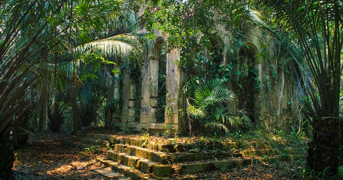 Cette technique millénaire venue d’Amazonie est la solution de demain contre les pénuries, selon une étude