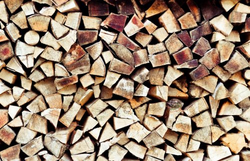 Poêle à bois : l’astuce inconnue (mais vieille comme le monde) pour obtenir du bois de chauffage gratuit cet hiver