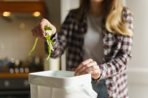 Compost obligatoire en 2024 : une exception pour ces ménages, en faites-vous partie ?