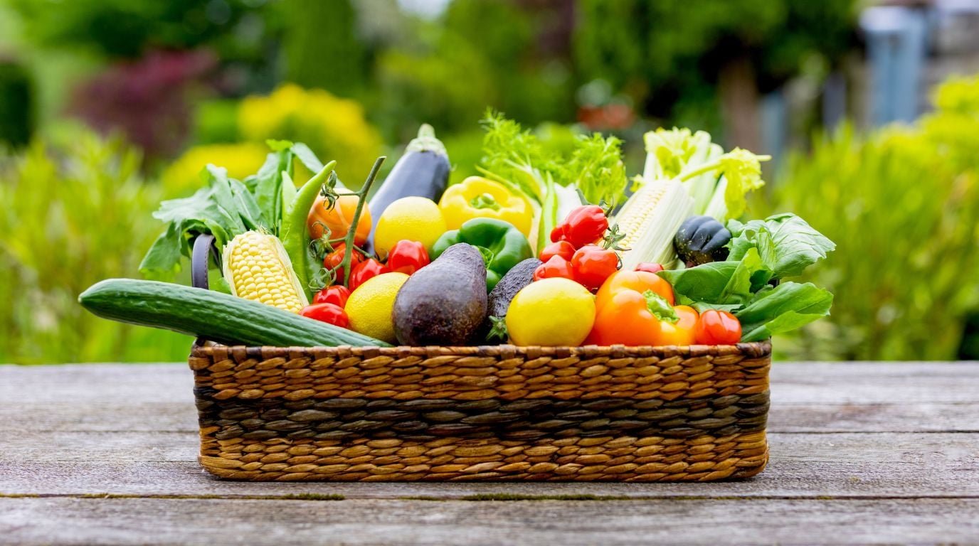 Fini les tomates et les courgettes : d’ici 2040, ces « nouveaux » fruits et légumes vont s’imposer dans nos potagers (et dans l&rsquo;assiette)