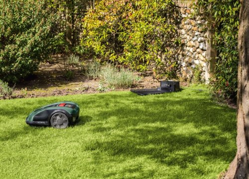 Tondeuse robot : une belle pelouse en un clin d'œil - Mon Jardin & ma maison