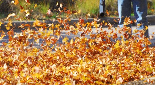 Lidl : son appareil à prix mini pour se débarrasser des feuilles mortes sans effort