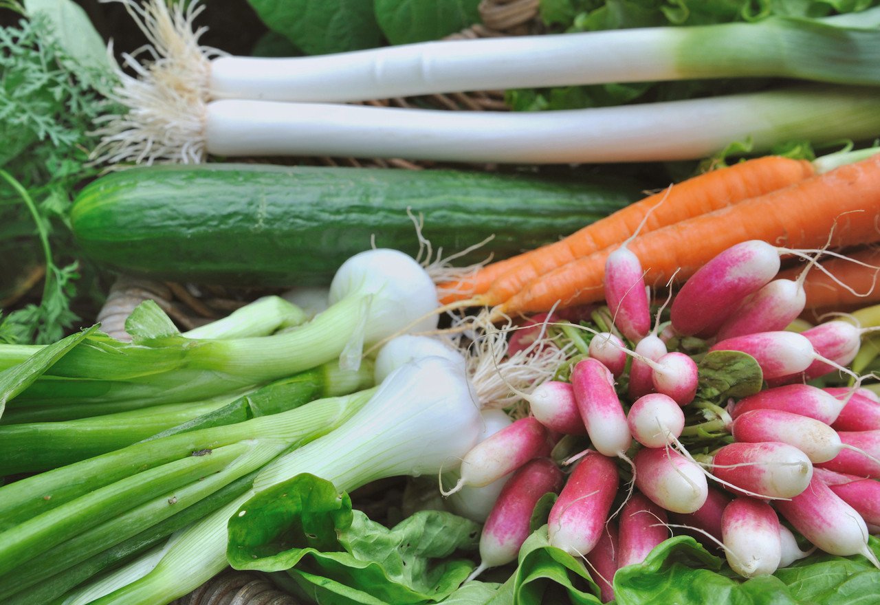 « Légumes primeurs », tout ce que vous devez savoir sur cette mention en supermarché !