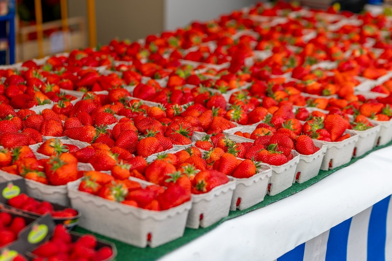 Des fraises contaminées par les pesticides dans toute la France, voici les variétés concernées