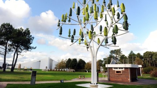 Incroyable : cet arbre est capable de produire de l’électricité et pourrait révolutionner nos maisons (et nos factures)