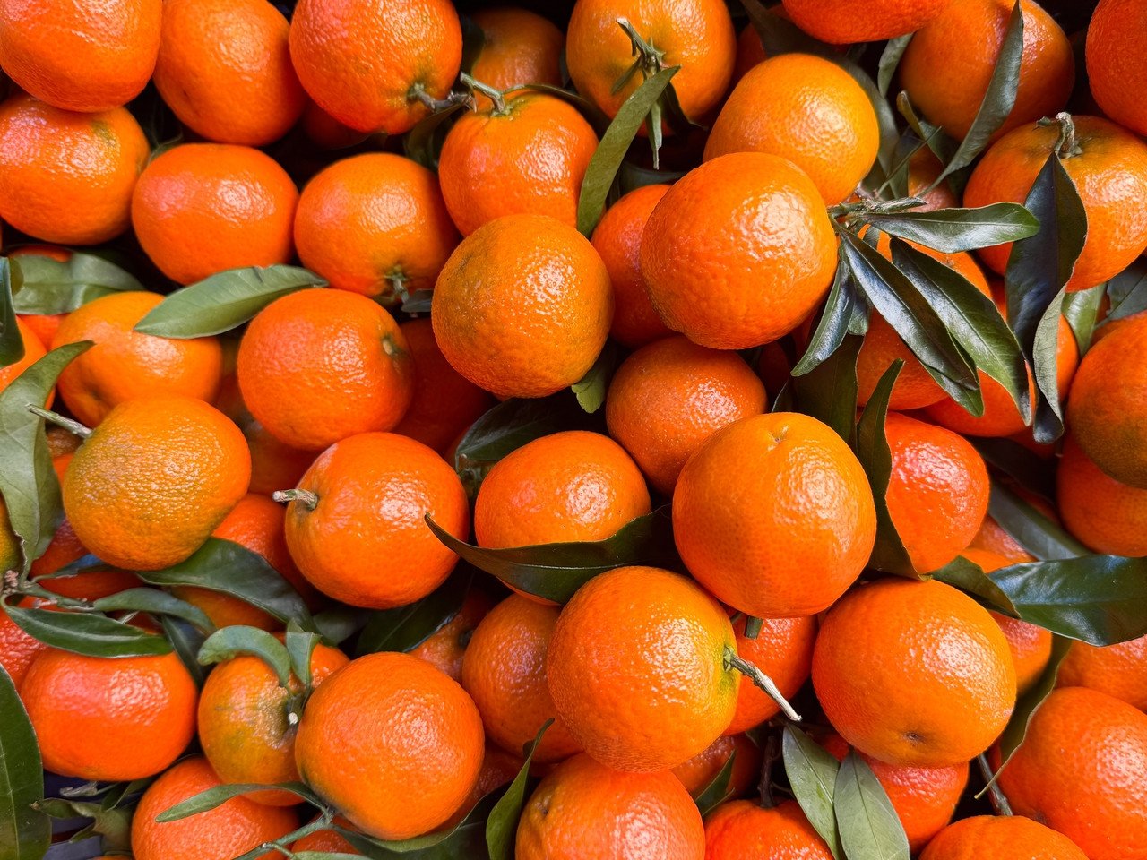 Pesticides : 87 % des clémentines contaminées, la liste des fruits et légumes à éviter d’urgence