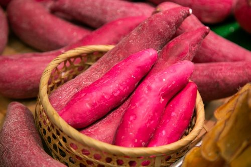 Ce légume venu du Japon défie les typhons et bat la myrtille en antioxydants : le nouveau superaliment à suivre