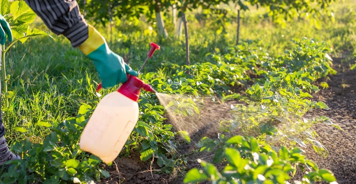 Pesticides : cette plateforme révèle l’ampleur de l’exposition dans votre région