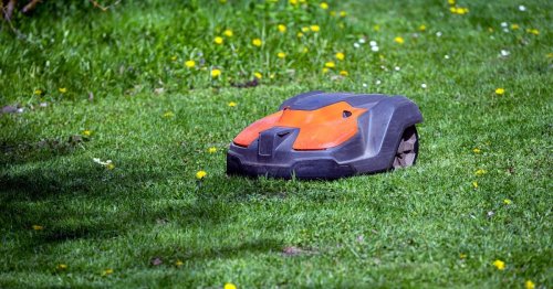 Robot tondeuse, voici pourquoi il ne faut surtout pas l’utiliser après la tombée de la nuit