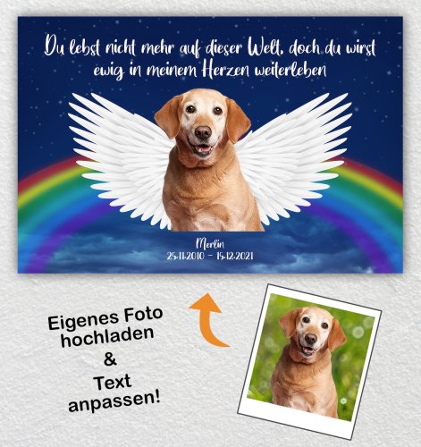 Hund mit Engelsflügeln, Regenbogen und Sternenhimmel - Personalisiertes Trauerbild auf Leinwand