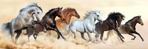 Personalisierte Pferde-Geschenke für Pferdeliebhaber & Reiter