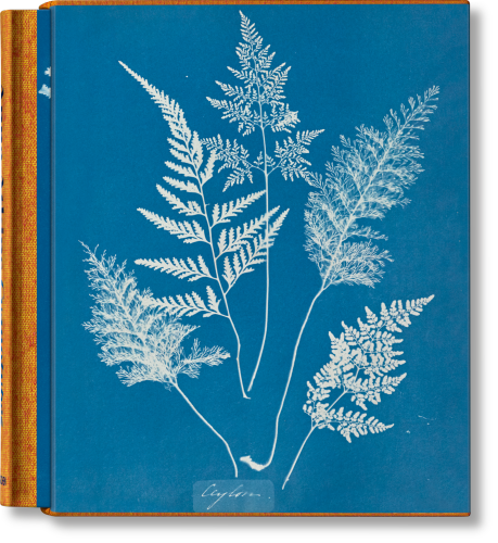 TASCHEN Books: Anna Atkins. Cyanotypes